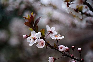 《真人快打遗产收藏》10月30日发售 经典系列游戏集结